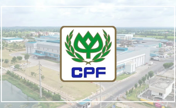 ซีพีเอฟ กำไรสุทธิ 9 เดือนปีนี้ เพิ่มขึ้น 57% ปรับกลยุทธ์รับความท้าทายของเศรษฐกิจ ซีพีเอฟ กำไรสุทธิ 9 เดือนปีนี้ เพิ่มขึ้น 57% ปรับกลยุทธ์รับความท้าทายของเศรษฐกิจ