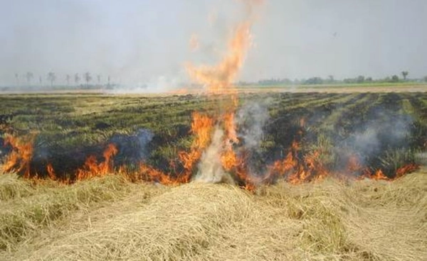 คพ. เตือนห้ามเผาทุกพื้นที่ ฝ่าฝืนปรับสูงสุด 2 ล้าน คุก 20 ปี