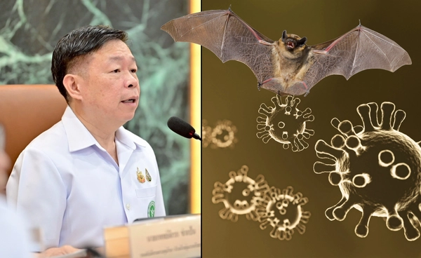 สธ.เฝ้าระวัง “ไวรัสนิปาห์” ยันยังไม่พบการระบาดในไทย