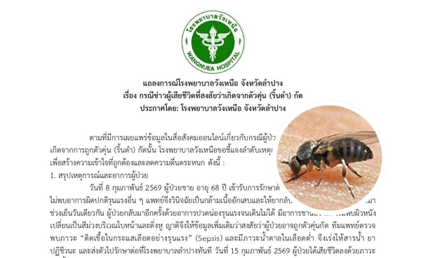 รพ.วังเหนือ แจงกรณี ชายวัย 68 ปี เสียชีวิต หลังถูกตัวคุ่นกัด รพ.วังเหนือ แจงกรณี ชายวัย 68 ปี เสียชีวิต หลังถูกตัวคุ่นกัด