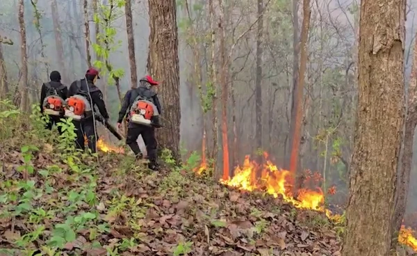 “แม่ฮ่องสอน” ไฟป่ายังระอุ พบจุดความร้อนพุ่ง 659 จุด กระทบสุขภาพประชาชน