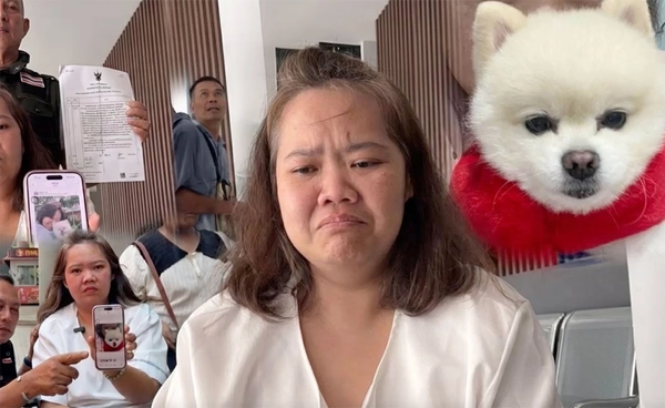 สรุปดราม่า “เจ้ากะทิ” ศึกชิงสุนัขปอมฯ เรื่องนี้จบลงแบบไหน?