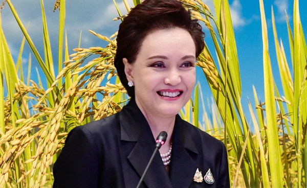 กางโรดแมปส่งออกข้าวไทยปี 2569 กับภารกิจยกระดับรายได้เกษตรกร