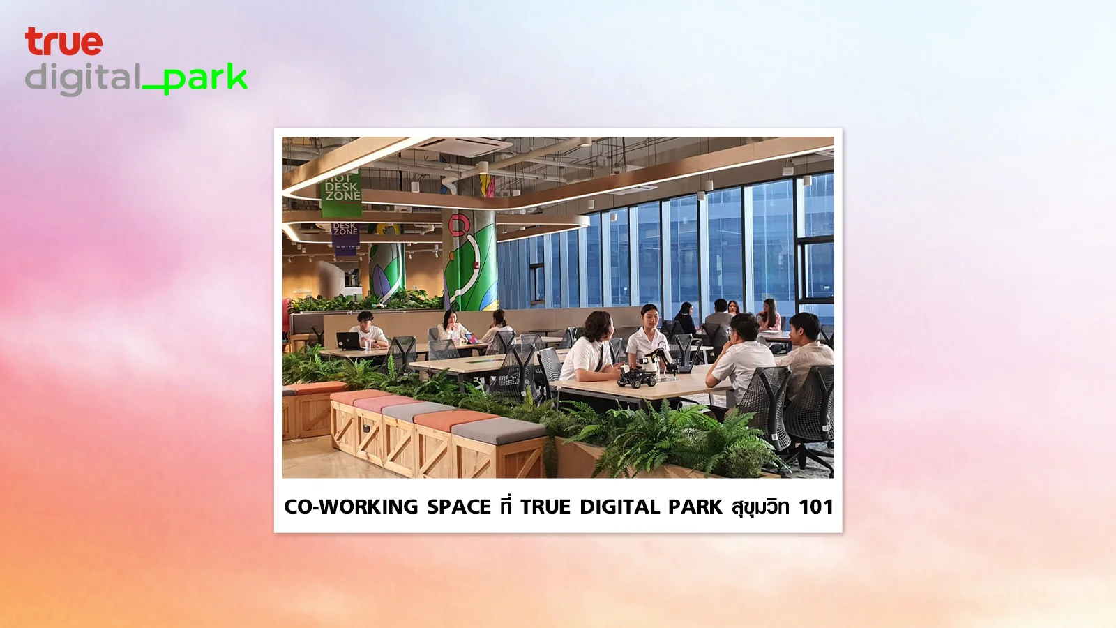 ลูกค้าทรูแบล็คและทรูเรด รับสิทธิ์ Package Free 1-day pass 1 ครั้ง เพื่อเข้าใช้บริการ Working Space @True Digital Park