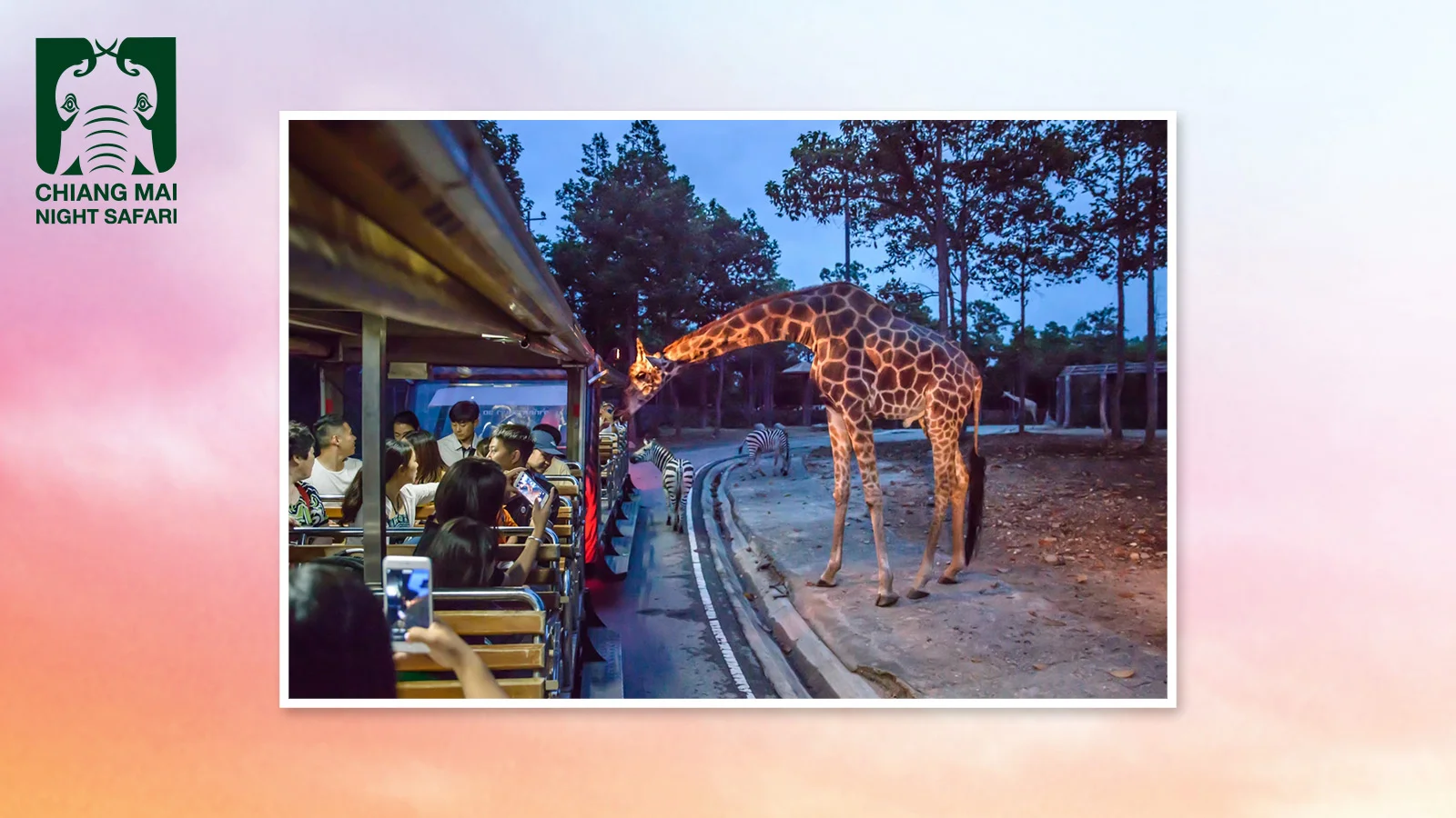 ลด 10% (Night Safari) ใช้ 0 ทรูพอยท์