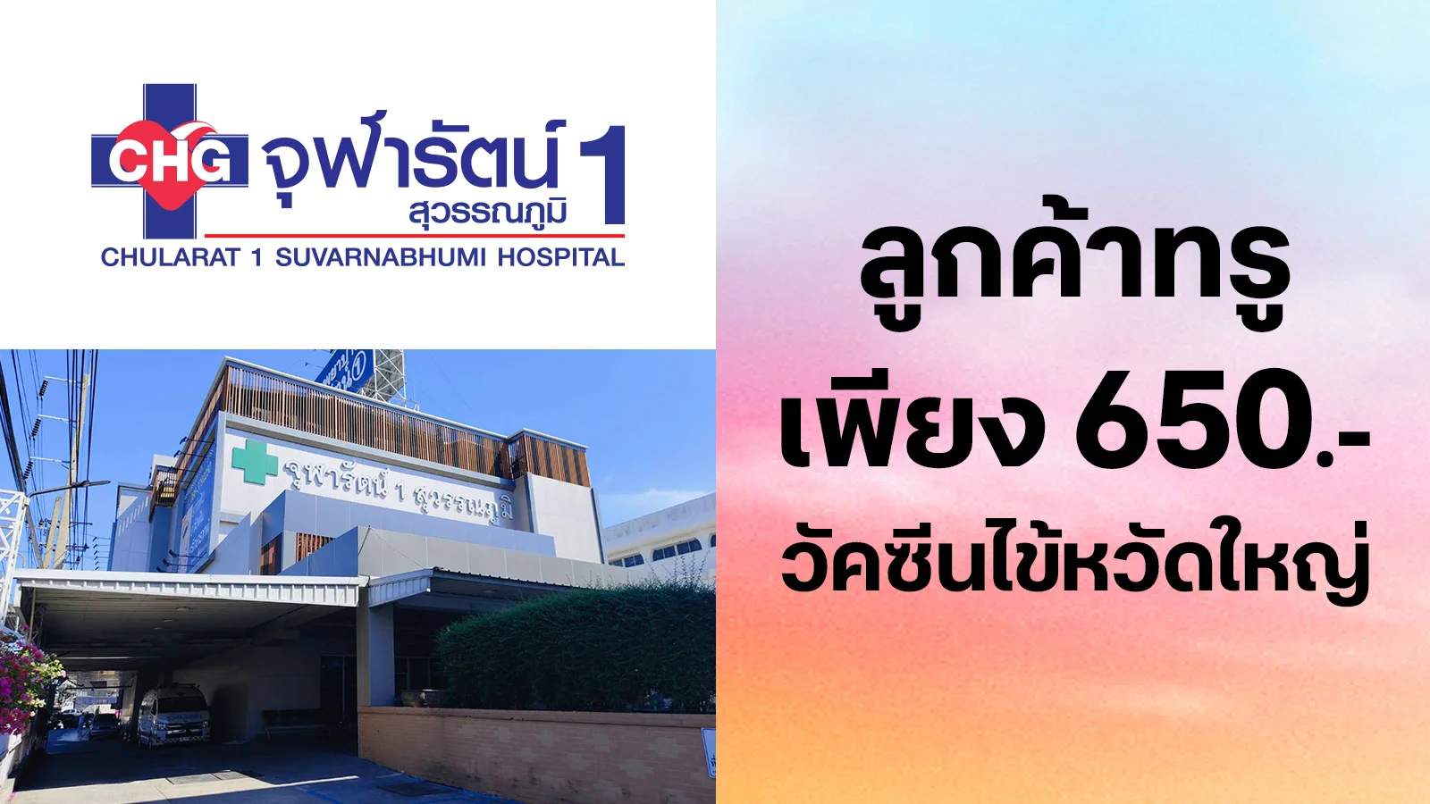 ซื้อ วัคซีนป้องกันไข้หวัดใหญ่ราคาเข็มละ 650 บาท ใช้ 0 ทรูพอยท์