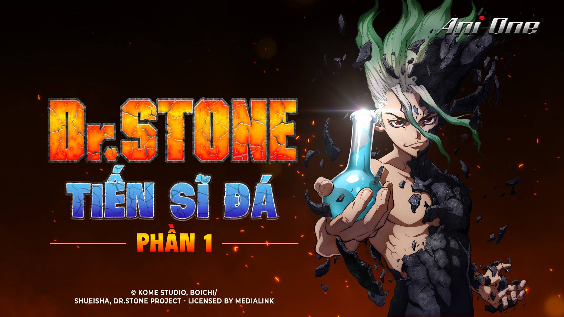 Dr Stone Wallpapers  Top 50 Best Dr Stone Backgrounds Download