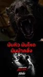 ตัวอย่างภาพยนตร์ Cocaine Bear หมีคลั่ง