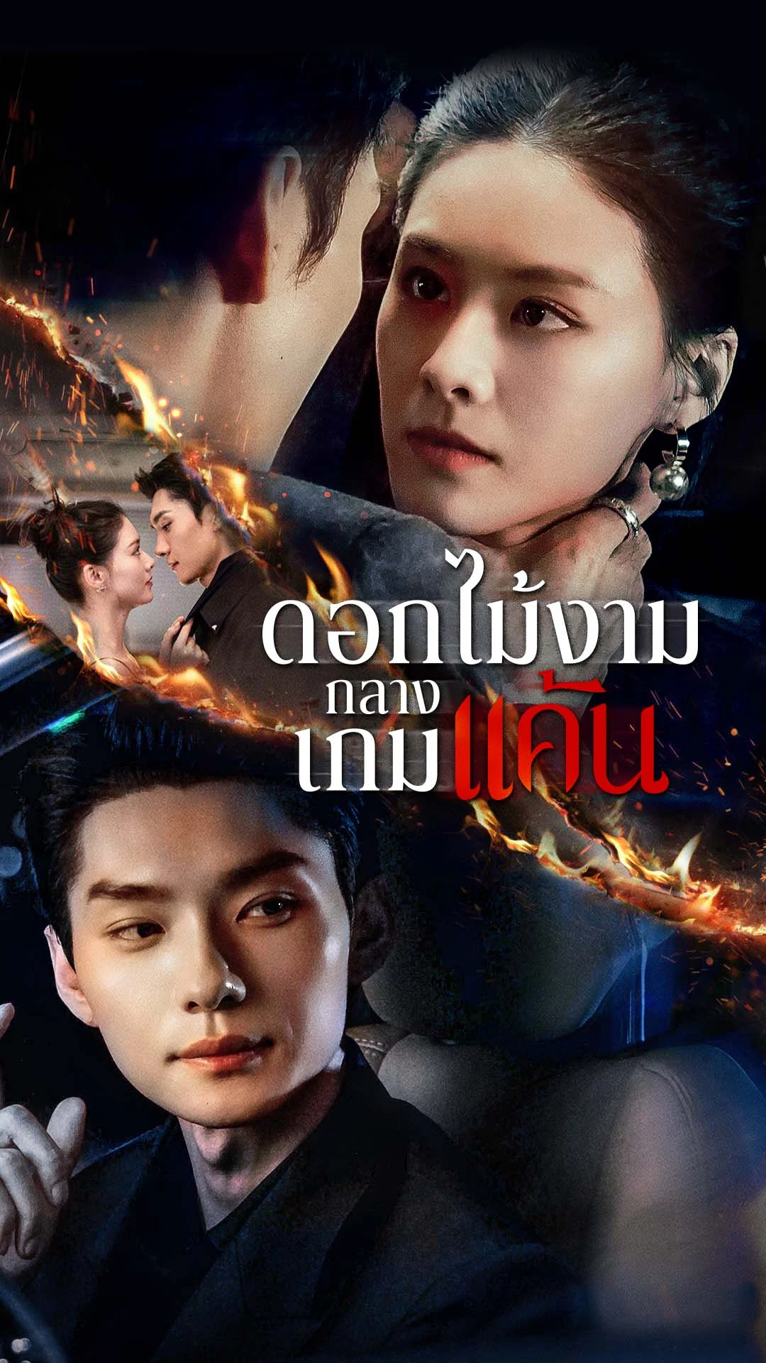 ดอกไม้งามกลางเกมแค้น