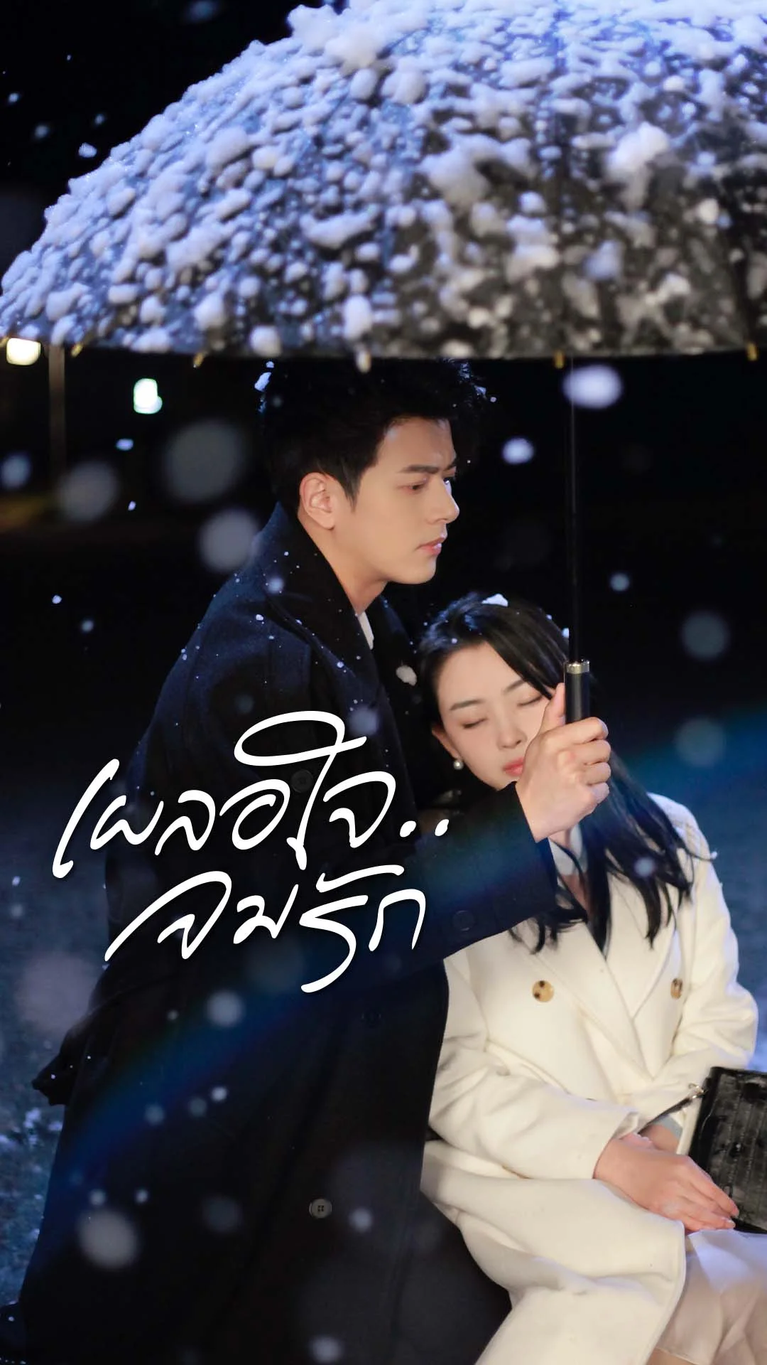 เผลอใจ..จมรัก
