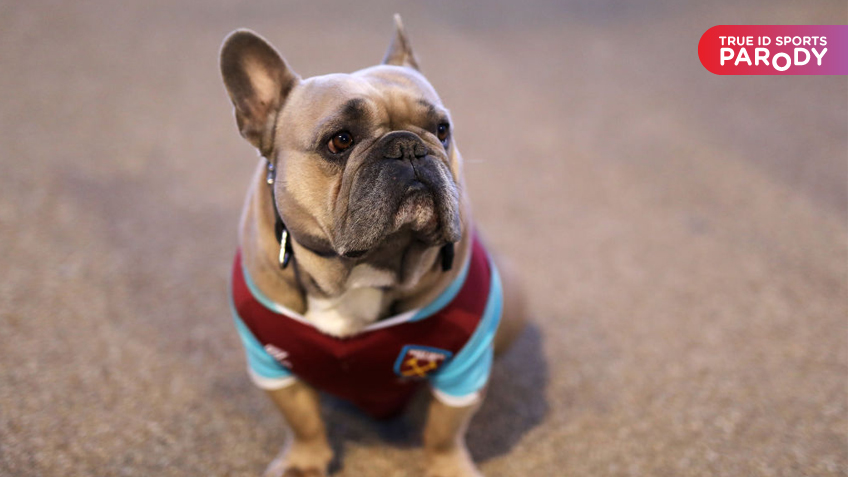 TRUE PARODY : เปิดรับวันสุนัขสากลกับ 7นักฟุตบอลระดับโลกและสุนัขคู่ใจ