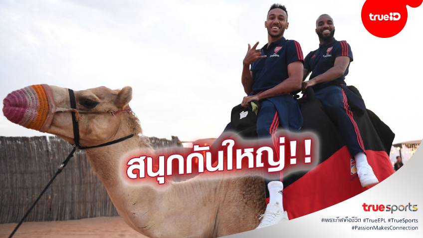 ขี่อูฐลุยทะเลทราย!! แข้งปืนใหญ่สุดลั้นลาช่วงเบรกหนีหนาวที่ดูไบ