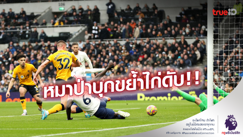 ไก่ยังไม่ฟื้น! สเปอร์ส บู่ต่อเนื่อง พ่าย วูล์ฟส์ คาบ้าน 0-2 แพ้ 3 นัดติด (ชมคลิปไฮไลท์)