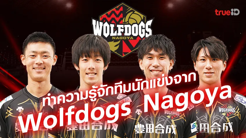 แนะนำทีมและนักกีฬาจากสโมสร Wolfdogs Nagoya (วูล์ฟด็อก นาโกย่า) ในศึกเจแปน วอลเลย์บอล เอเชีย ทัวร์ 2023