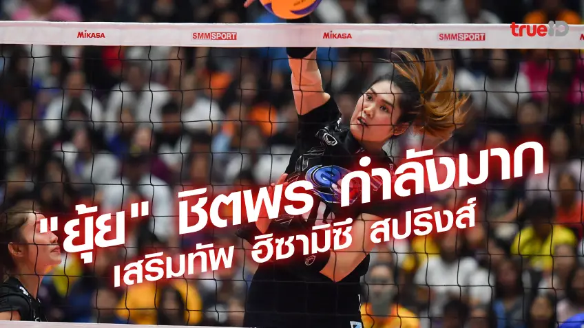 "ยุ้ย" ชิตพร กำลังมาก บอลเร็วสาวไทยเสริมทัพ ฮิซามิซึ สปริงส์