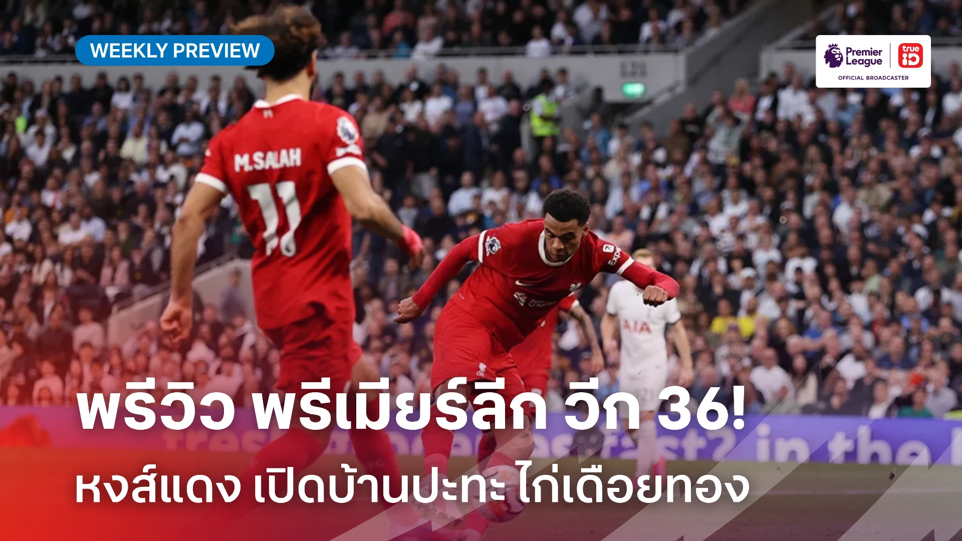 หงส์แดงฟัดไก่เดือยทอง! พรีวิวภาพรวม และสถานการณ์ พรีเมียร์ลีก สัปดาห์ที่ 36