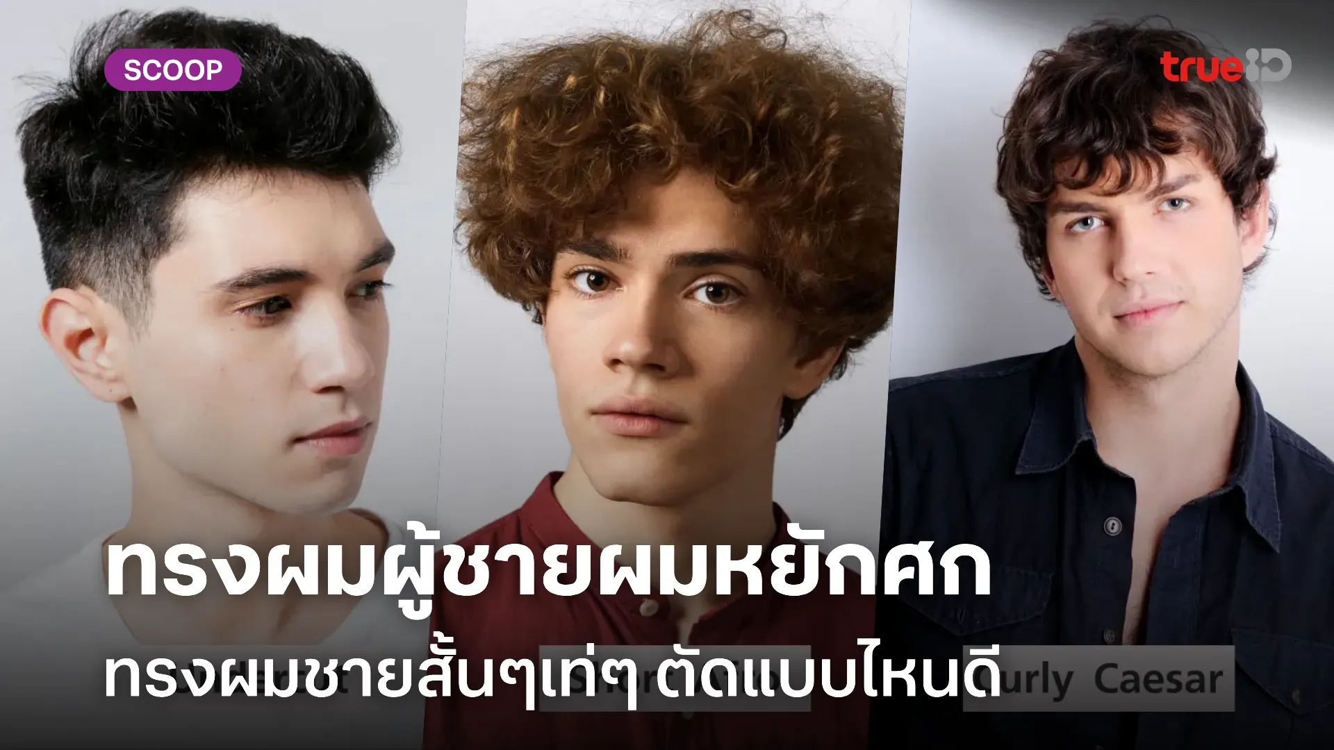 8 ทรงผมผู้ชายหยักศก ทรงผมชายผมหยิก ปี 2024 ทรงผมชายสั้นๆเท่ๆ ตัดแบบไหนดี