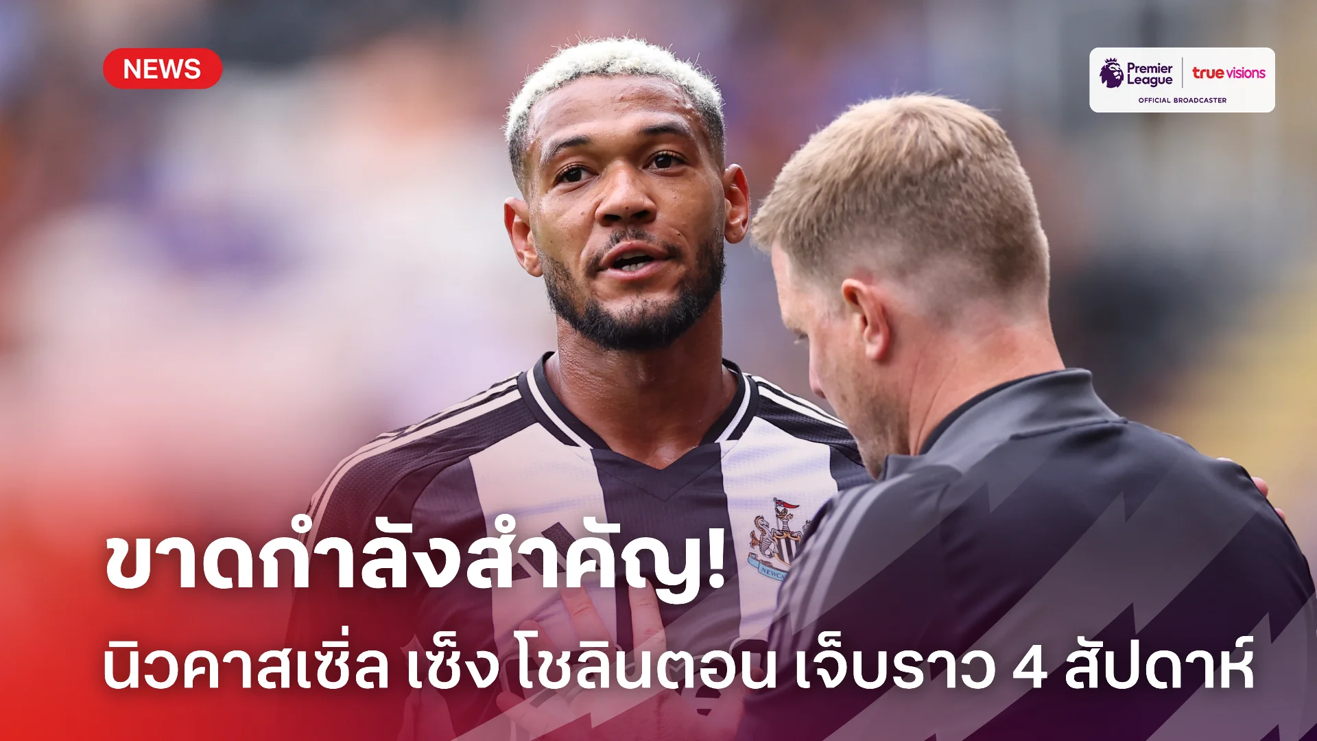 พักยาวเลย.! นิวคาสเซิ่ล เซ็งอดใช้งาน โชลินตอน 4 นัดสุดท้ายเพราะเจ็บ