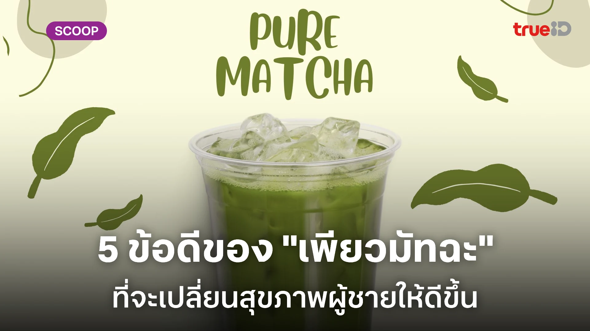 5 ประโยชน์ของ เพียว มัทฉะ ดียังไง ทำไมผู้ชายควรกิน