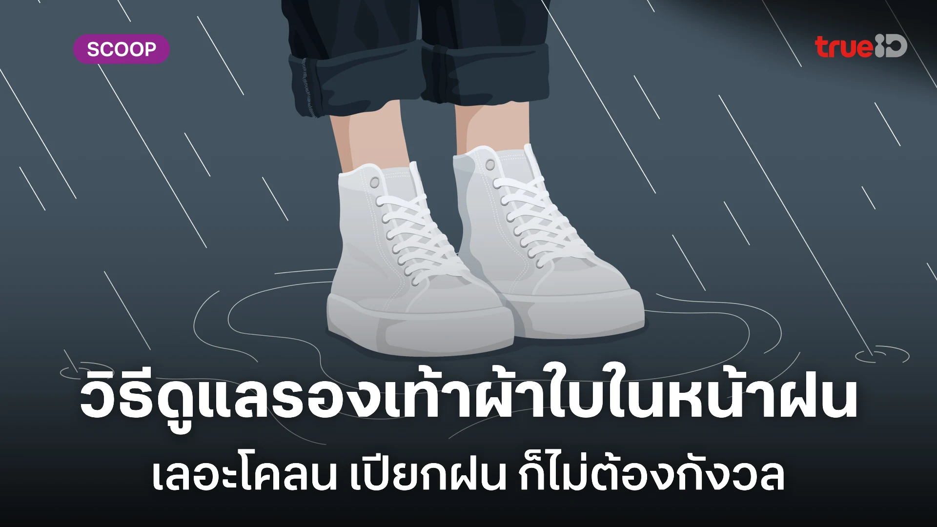 วิธีดูแลรองเท้าผ้าใบ ในหน้าฝน ทำความสะอาดรองเท้าผ้าใบอย่างไรให้สะอาดเหมือนใหม่