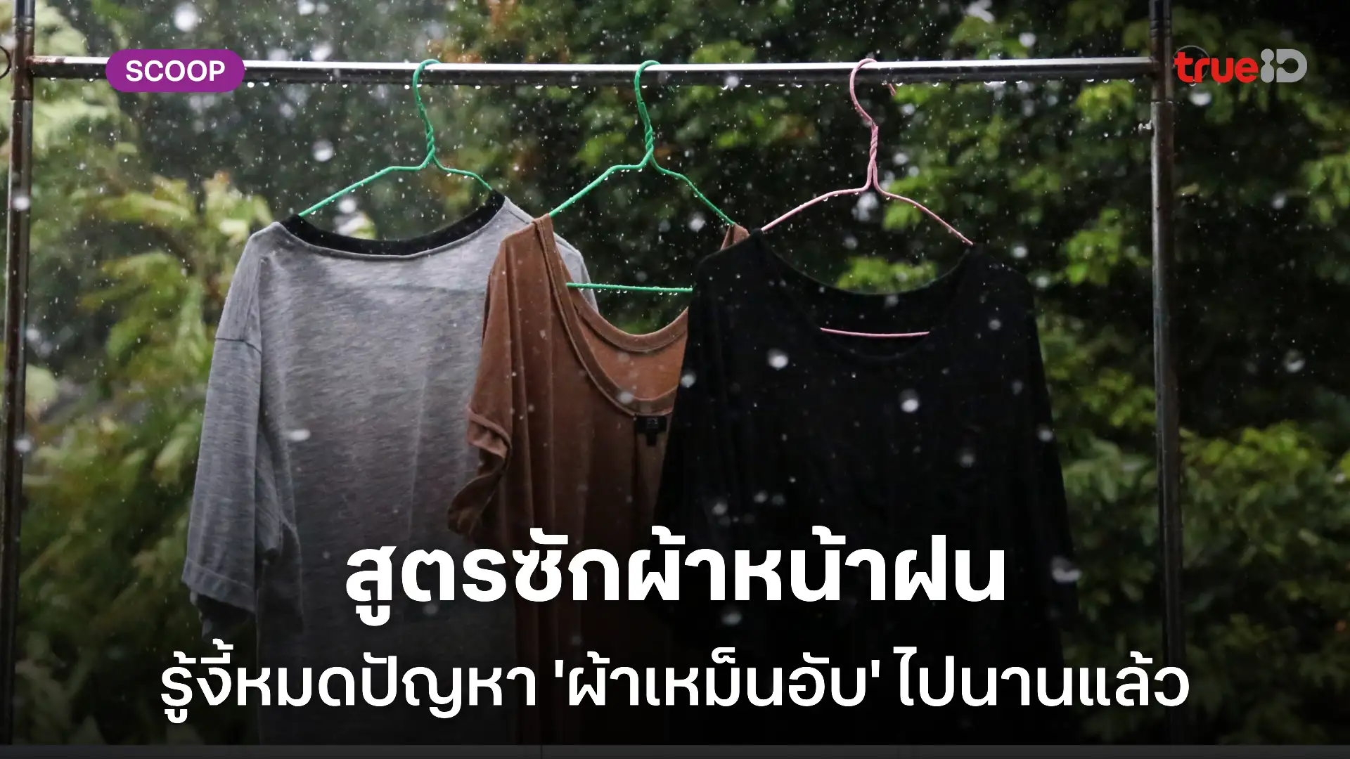 วิธีซักผ้าหน้าฝน ไม่เหม็นอับ ผู้ชายเหงื่อเยอะ ตากผ้าไม่มีแดด ตากผ้าในร่ม ต้องลองทำตาม!