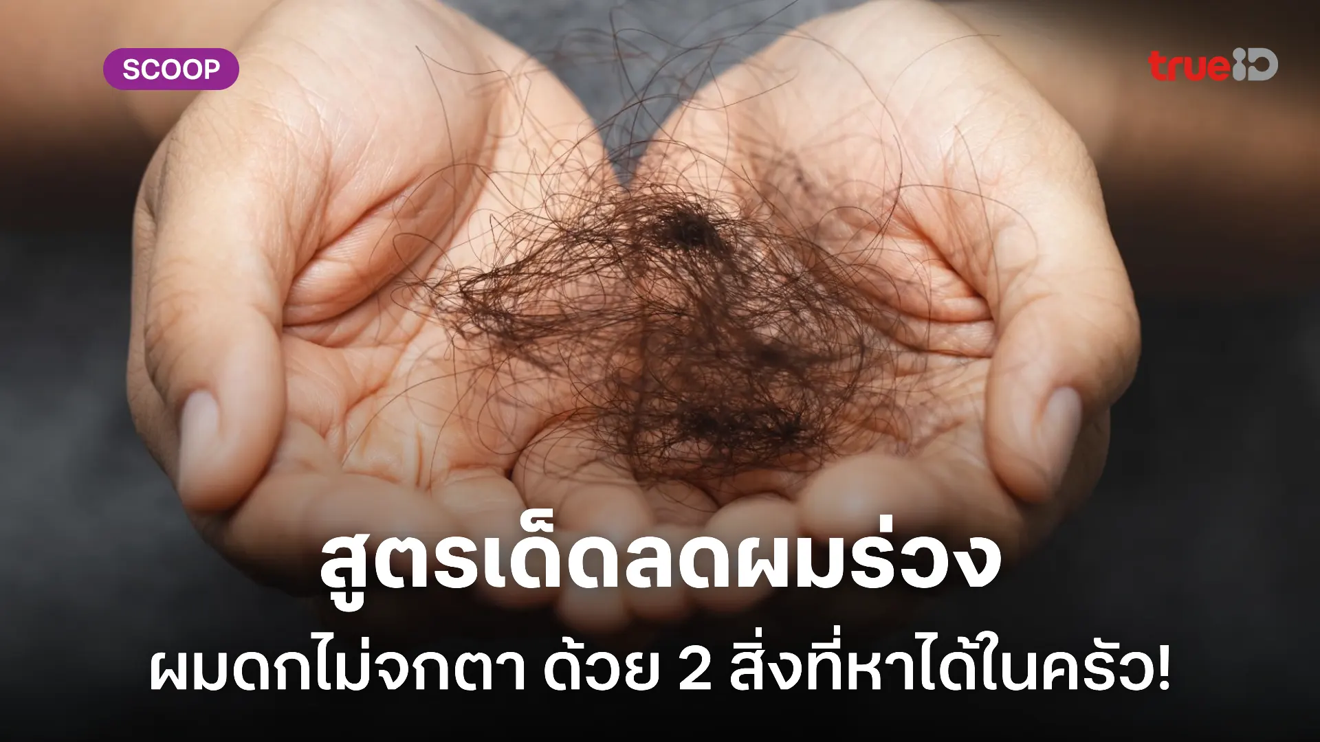 สูตรแก้ผมร่วงด้วยวิธีธรรมชาติ สำหรับผู้ชาย ทวงคืนผมดกด้วย 2 สิ่งนี้ ง่ายๆ แต่ได้ผล