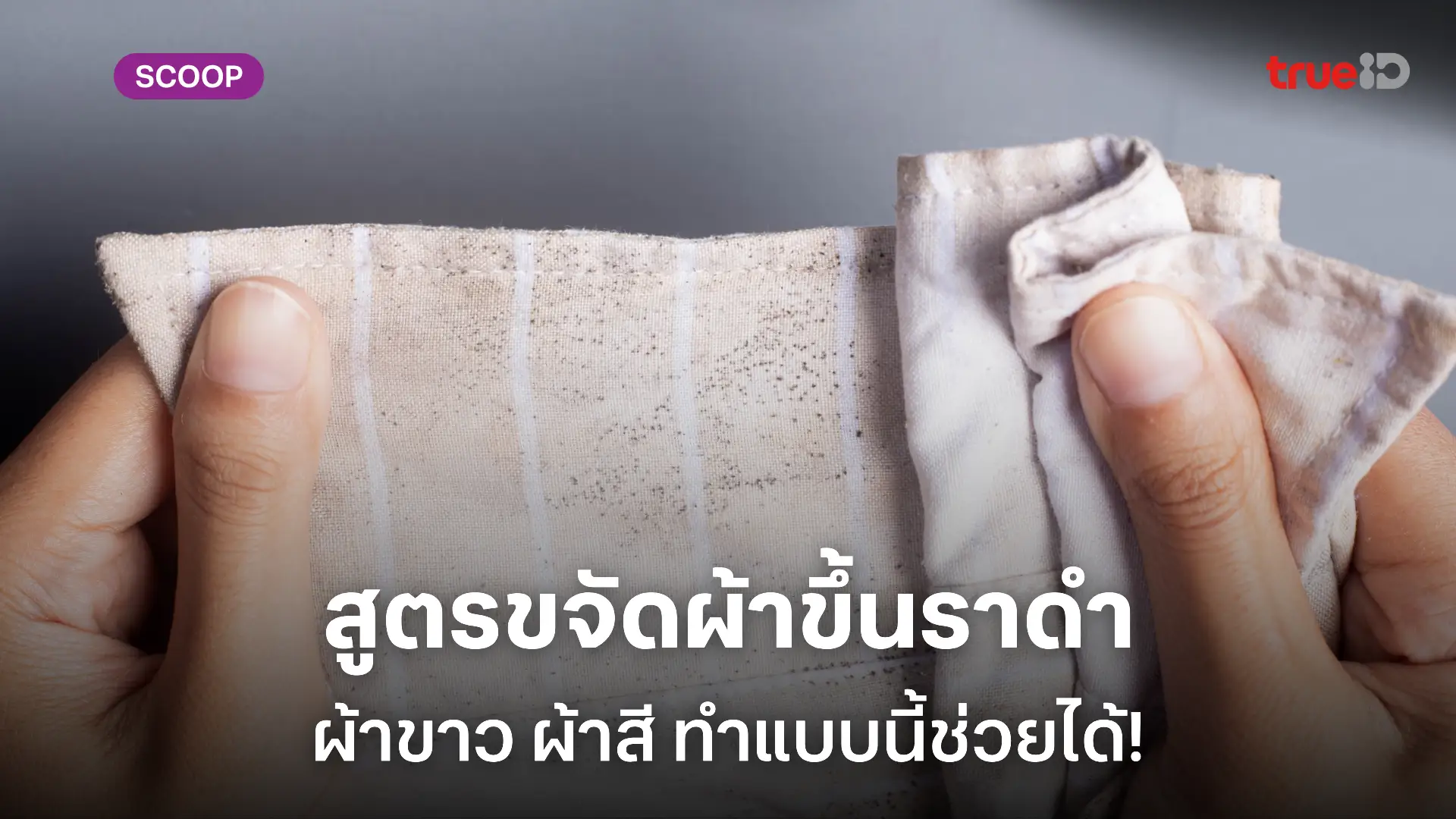 วิธีกําจัดราบนเสื้อผ้า ทั้งผ้าสี ผ้าขาว ใช้อะไรให้ซักออก สูตรลัดที่พ่อบ้านต้องลอง! วิธีกําจัดราบนเสื้อผ้า ทั้งผ้าสี ผ้าขาว ใช้อะไรให้ซักออก สูตรลัดที่พ่อบ้านต้องลอง!