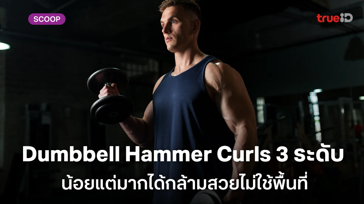 วิธีฝึก Dumbbell Hammer Curls 3 ระดับ น้อยแต่มากได้กล้ามสวยไม่ใช้พื้นที่ วิธีฝึก Dumbbell Hammer Curls 3 ระดับ น้อยแต่มากได้กล้ามสวยไม่ใช้พื้นที่