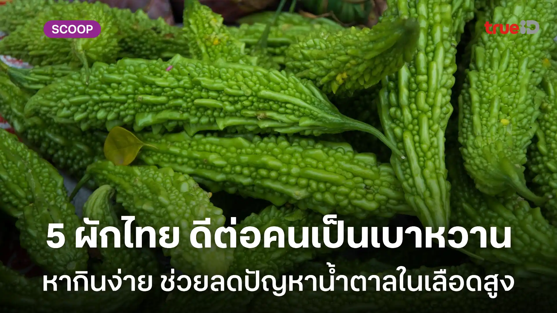 5 ผักไทยๆ ที่ช่วยลดน้ำตาลในเลือด ดีกับผู้ชายเป็นเบาหวาน 5 ผักไทยๆ ที่ช่วยลดน้ำตาลในเลือด ดีกับผู้ชายเป็นเบาหวาน