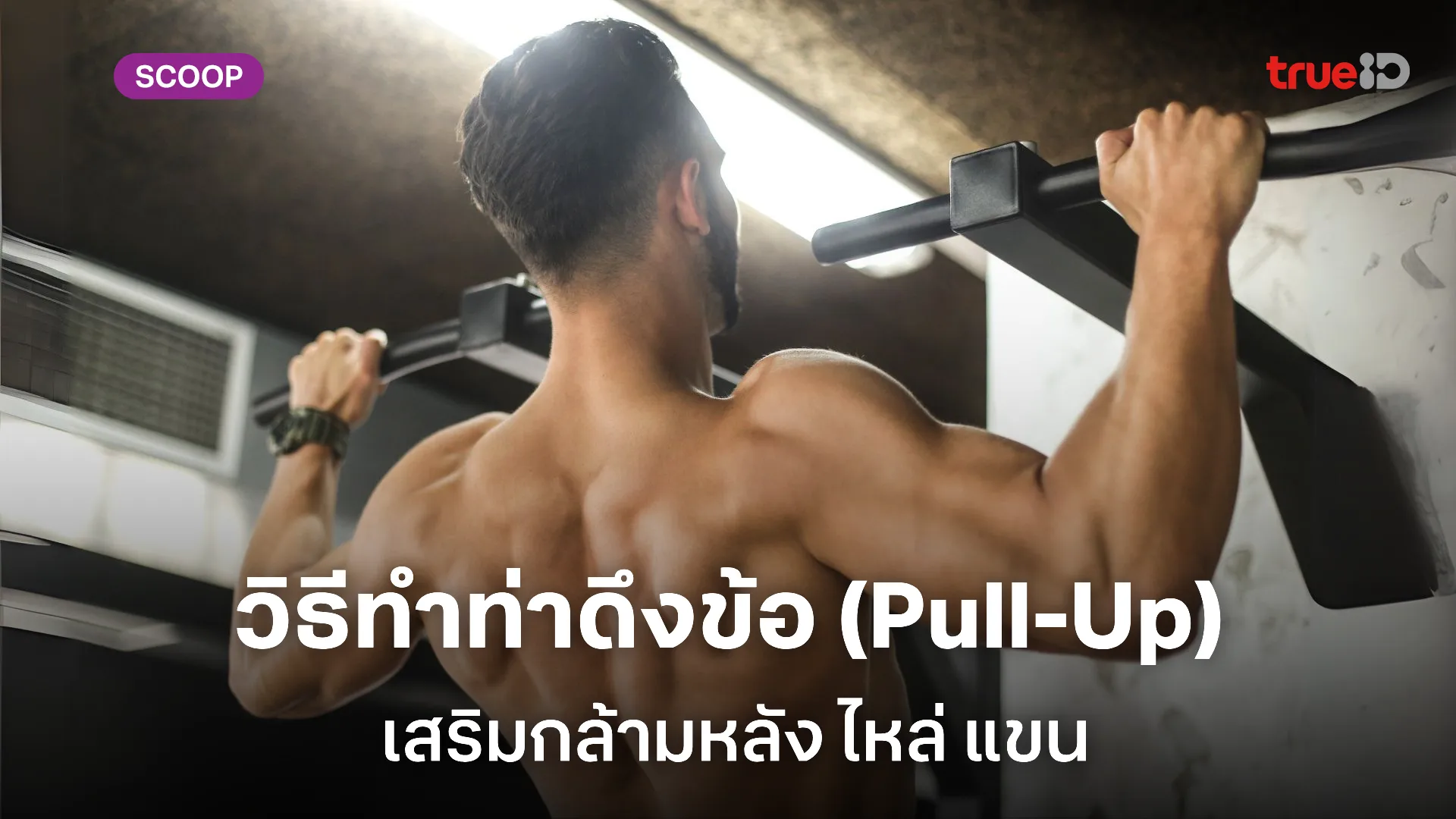 วิธีทำท่าดึงข้อ (Pull-Up) เสริมกล้ามหลัง ไหล่ แขน วิธีทำท่าดึงข้อ (Pull-Up) เสริมกล้ามหลัง ไหล่ แขน