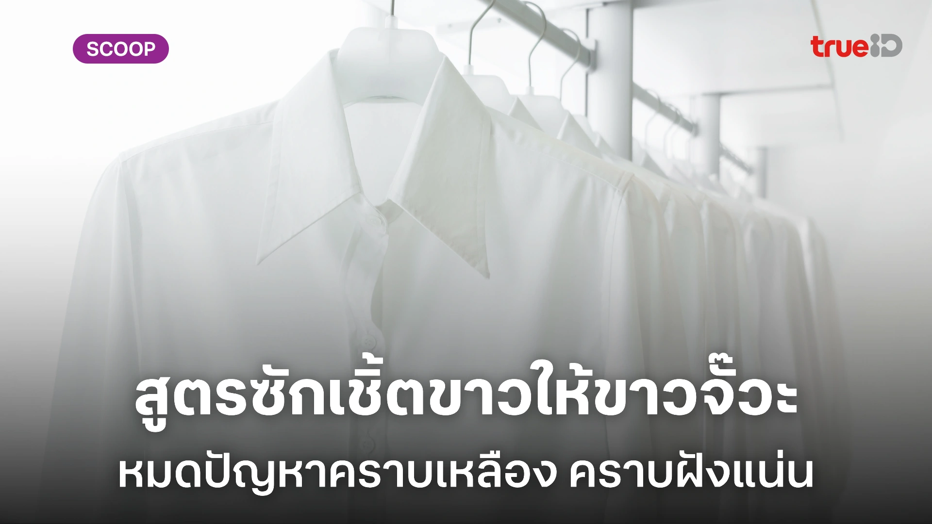 แจกสูตร! วิธีซักเชิ้ตขาว ผ้าขาว ให้ขาวจั๊วะแสบตา ขาวสดใส ใส่แล้วดูสะอาด เท่ มีคลาส แจกสูตร! วิธีซักเชิ้ตขาว ผ้าขาว ให้ขาวจั๊วะแสบตา ขาวสดใส ใส่แล้วดูสะอาด เท่ มีคลาส