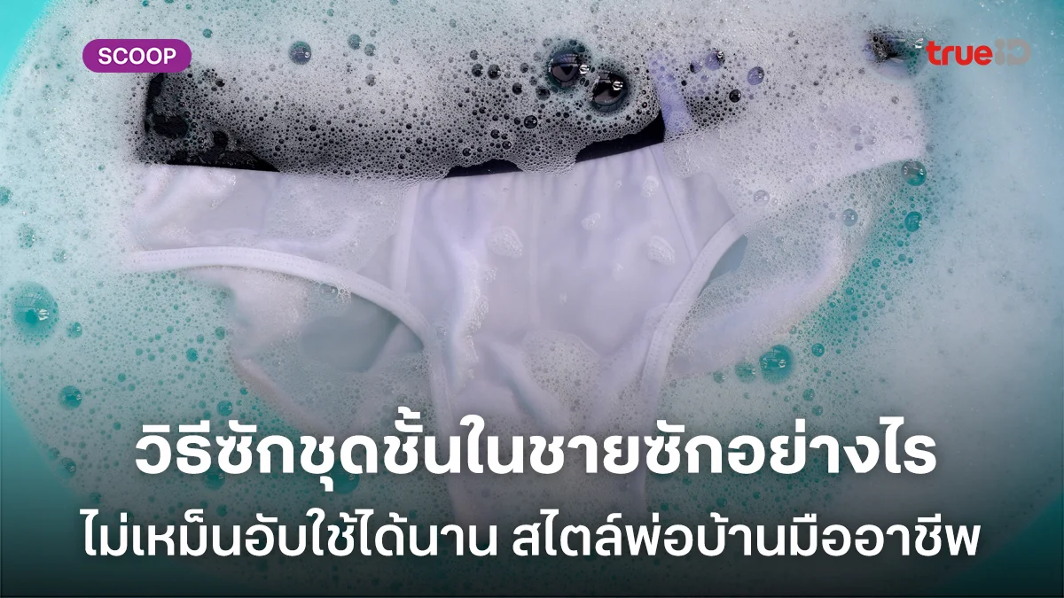 วิธีซักชุดชั้นในชายซักอย่างไร ไม่เหม็นอับใช้ได้นาน สไตล์พ่อบ้านมืออาชีพ วิธีซักชุดชั้นในชายซักอย่างไร ไม่เหม็นอับใช้ได้นาน สไตล์พ่อบ้านมืออาชีพ