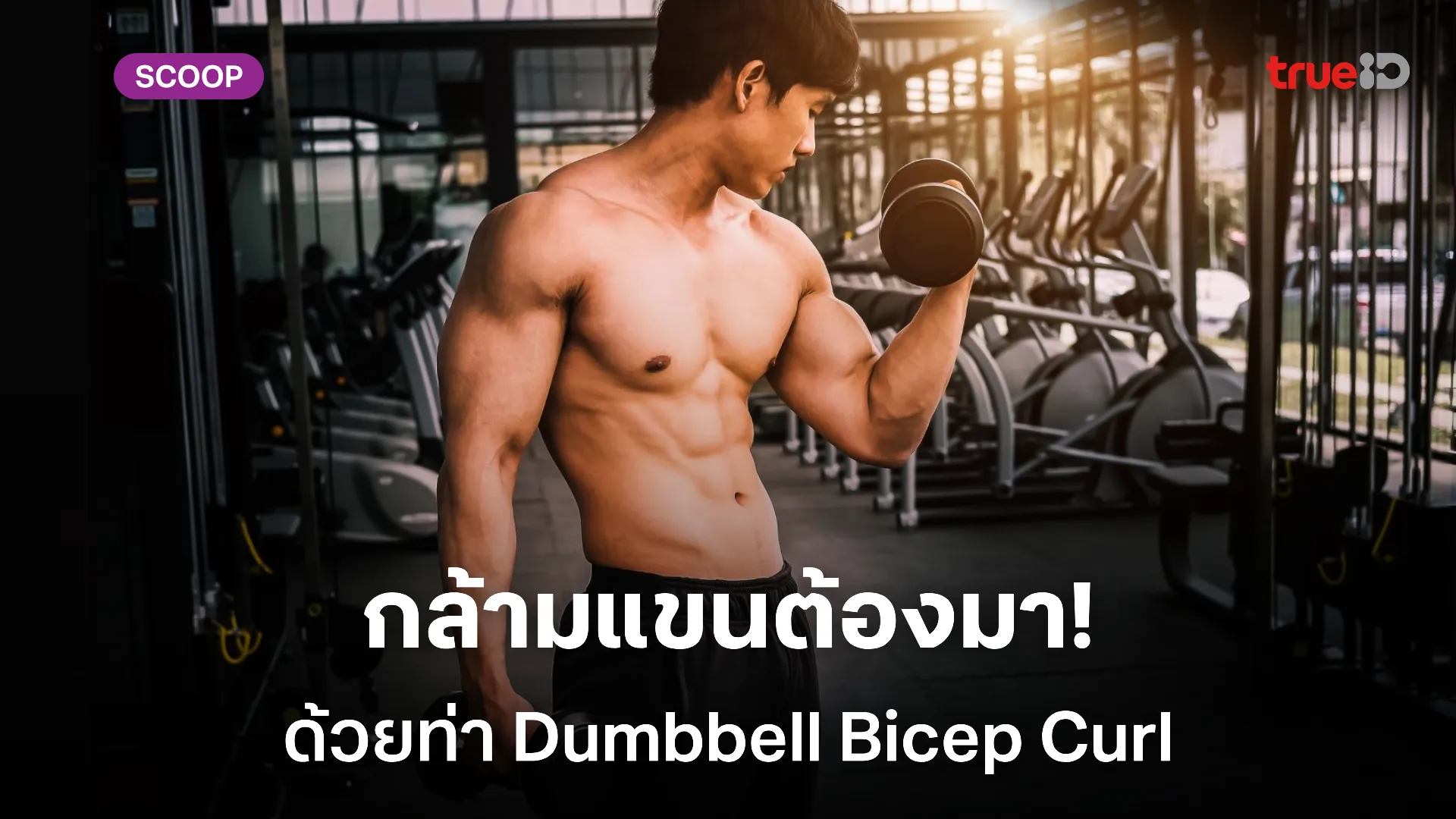 ท่าเดียวปั้นกล้ามแขน! วิธีเล่น Dumbbell Bicep Curl สำหรับมือใหม่จนถึงสายฟิต ท่าเดียวปั้นกล้ามแขน! วิธีเล่น Dumbbell Bicep Curl สำหรับมือใหม่จนถึงสายฟิต