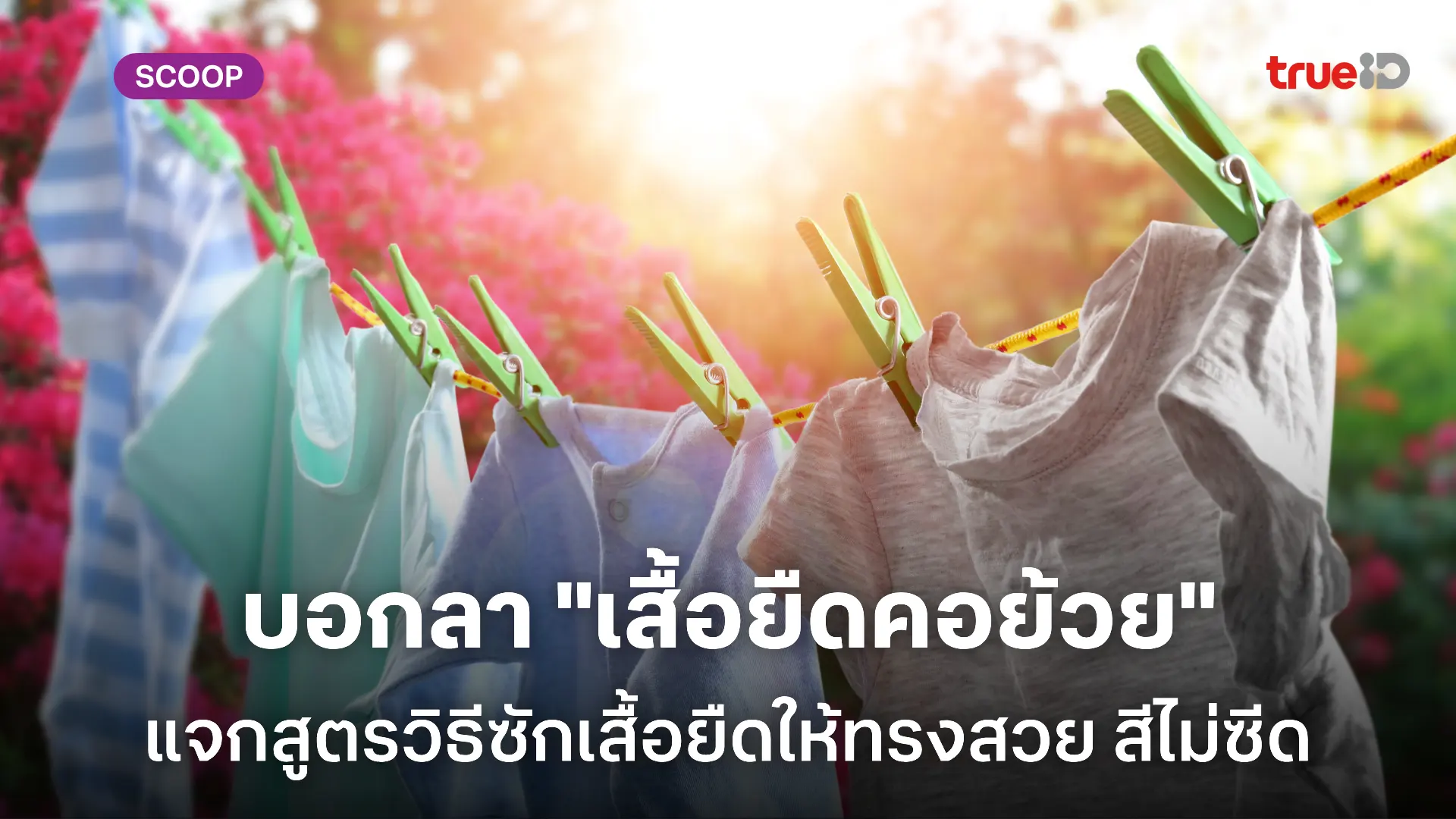 วิธีซักเสื้อยืดตัวโปรด ไม่ให้คอย้วย ไม่ให้สีซีด ทำเองง่าย แบบแมน ๆ วิธีซักเสื้อยืดตัวโปรด ไม่ให้คอย้วย ไม่ให้สีซีด ทำเองง่าย แบบแมน ๆ