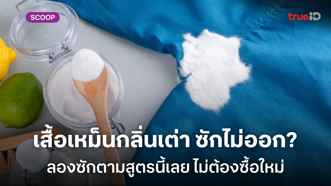 เสื้อเหม็นกลิ่นเต่า ซักไม่ออก? ต้องลอง วิธีแก้กลิ่นเต่าติดเสื้อ หายขาดแบบไม่ต้องใช้น้ำหอม เสื้อเหม็นกลิ่นเต่า ซักไม่ออก? ต้องลอง วิธีแก้กลิ่นเต่าติดเสื้อ หายขาดแบบไม่ต้องใช้น้ำหอม