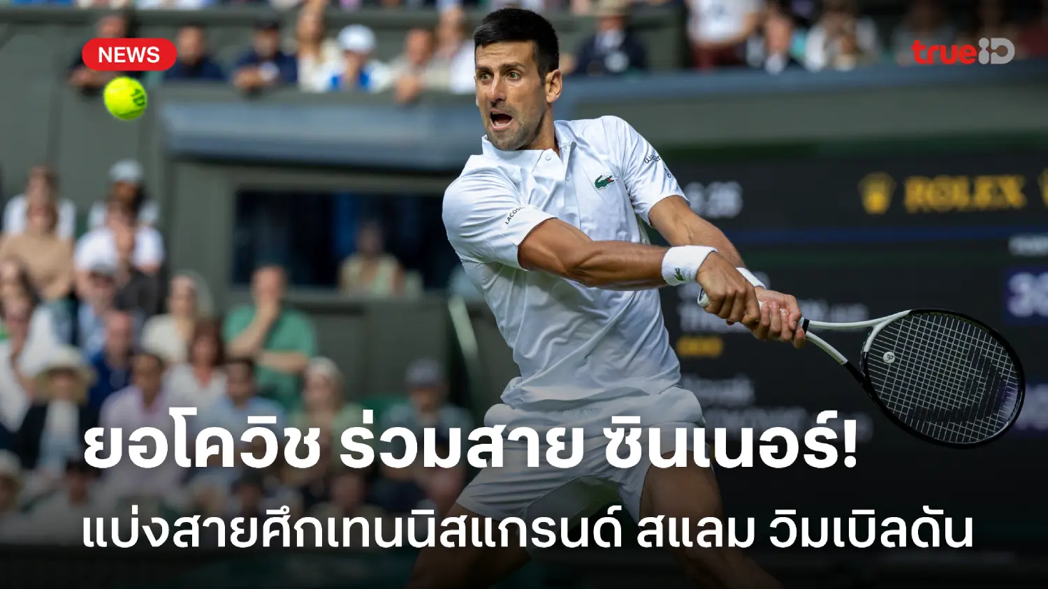 จับสลากแล้ว! ยอโควิช ร่วมสาย ซินเนอร์, อัลคาราซ มีแววทะลุชิงวิมเบิลดัน จับสลากแล้ว! ยอโควิช ร่วมสาย ซินเนอร์, อัลคาราซ มีแววทะลุชิงวิมเบิลดัน