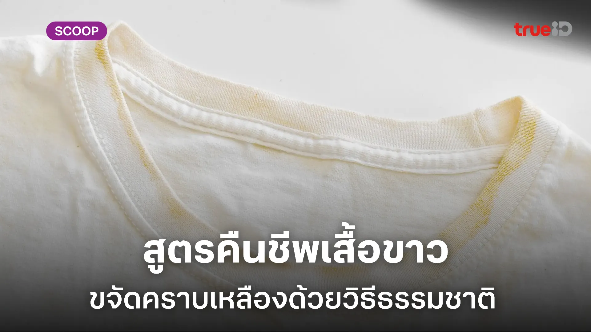 วิธีขจัดคราบเหลืองบนเสื้อขาว ทำเองได้ ง่ายและประหยัด วิธีขจัดคราบเหลืองบนเสื้อขาว ทำเองได้ ง่ายและประหยัด