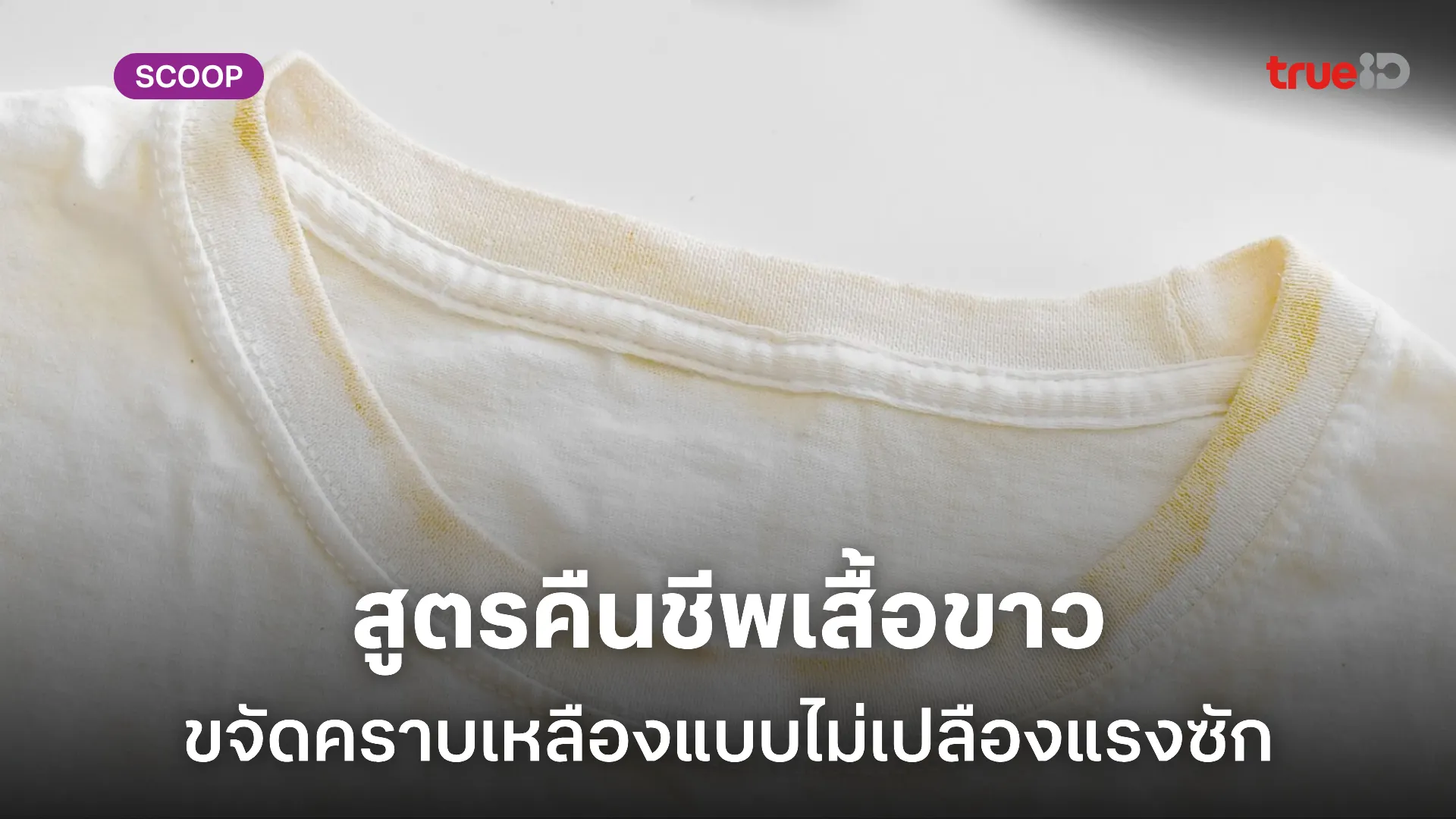 วิธีขจัดคราบเหลืองบนเสื้อขาว ทำเองได้ ง่ายและประหยัด วิธีขจัดคราบเหลืองบนเสื้อขาว ทำเองได้ ง่ายและประหยัด