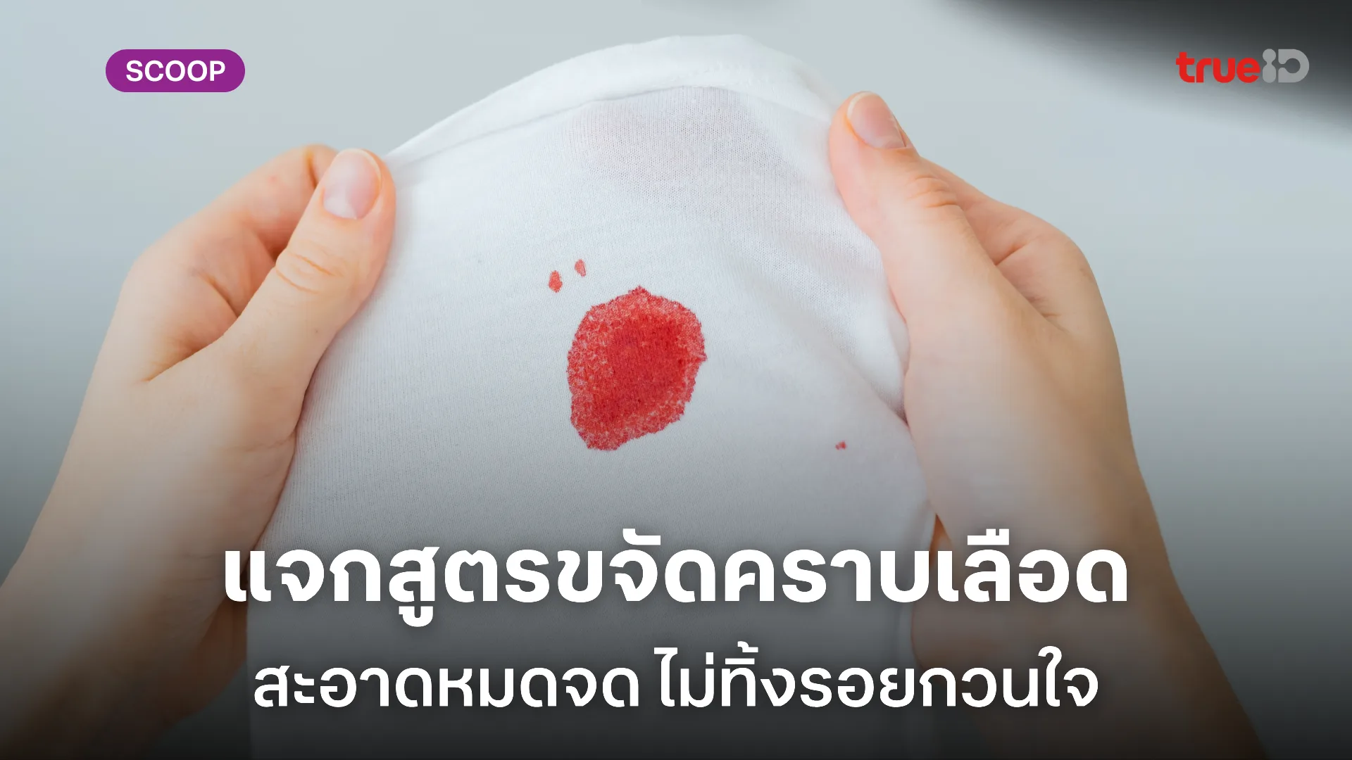 วิธีขจัดคราบเลือดบนเสื้อผ้า เลือดแห้ง เลือดฝังแน่น ก็สะอาดได้แบบมือโปร วิธีขจัดคราบเลือดบนเสื้อผ้า เลือดแห้ง เลือดฝังแน่น ก็สะอาดได้แบบมือโปร