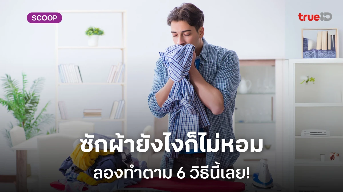 วิธีทำให้ผ้าหอมติดทนแม้ตากในที่ร่ม สูตรดูแลเสื้อผ้าสำหรับผู้ชาย ที่ต้องตากผ้าแบบไม่มีแดด วิธีทำให้ผ้าหอมติดทนแม้ตากในที่ร่ม สูตรดูแลเสื้อผ้าสำหรับผู้ชาย ที่ต้องตากผ้าแบบไม่มีแดด