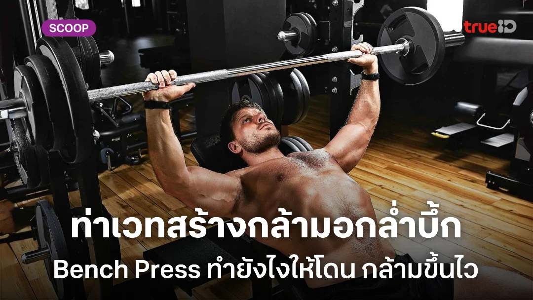 วิธีทำท่า Bench Press ท่าเวทสร้างกล้ามอกแน่น ทำยังไงให้โดน กล้ามสวย กล้ามขึ้นไว วิธีทำท่า Bench Press ท่าเวทสร้างกล้ามอกแน่น ทำยังไงให้โดน กล้ามสวย กล้ามขึ้นไว