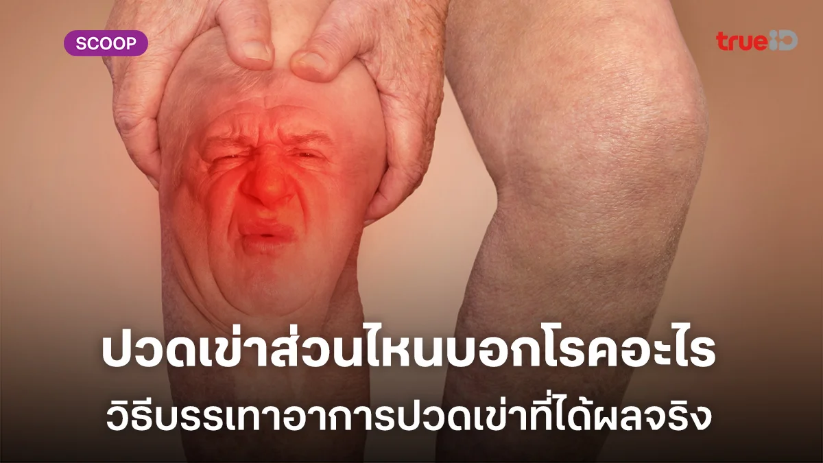 ปัญหาปวดเข่าในผู้ชาย ปวดเข่าส่วนไหนบอกโรคอะไร วิธีบรรเทาอาการปวดเข่าที่ได้ผลจริง ปัญหาปวดเข่าในผู้ชาย ปวดเข่าส่วนไหนบอกโรคอะไร วิธีบรรเทาอาการปวดเข่าที่ได้ผลจริง