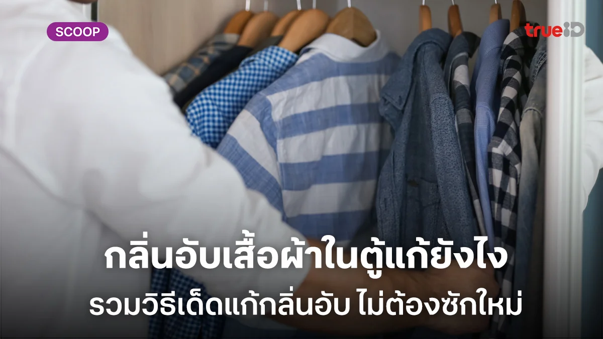 คู่มือฉบับเร่งด่วน กลิ่นอับเสื้อผ้าในตู้แก้ยังไง รวมวิธีเด็ด ไม่ต้องเปลืองแรงซักใหม่ คู่มือฉบับเร่งด่วน กลิ่นอับเสื้อผ้าในตู้แก้ยังไง รวมวิธีเด็ด ไม่ต้องเปลืองแรงซักใหม่