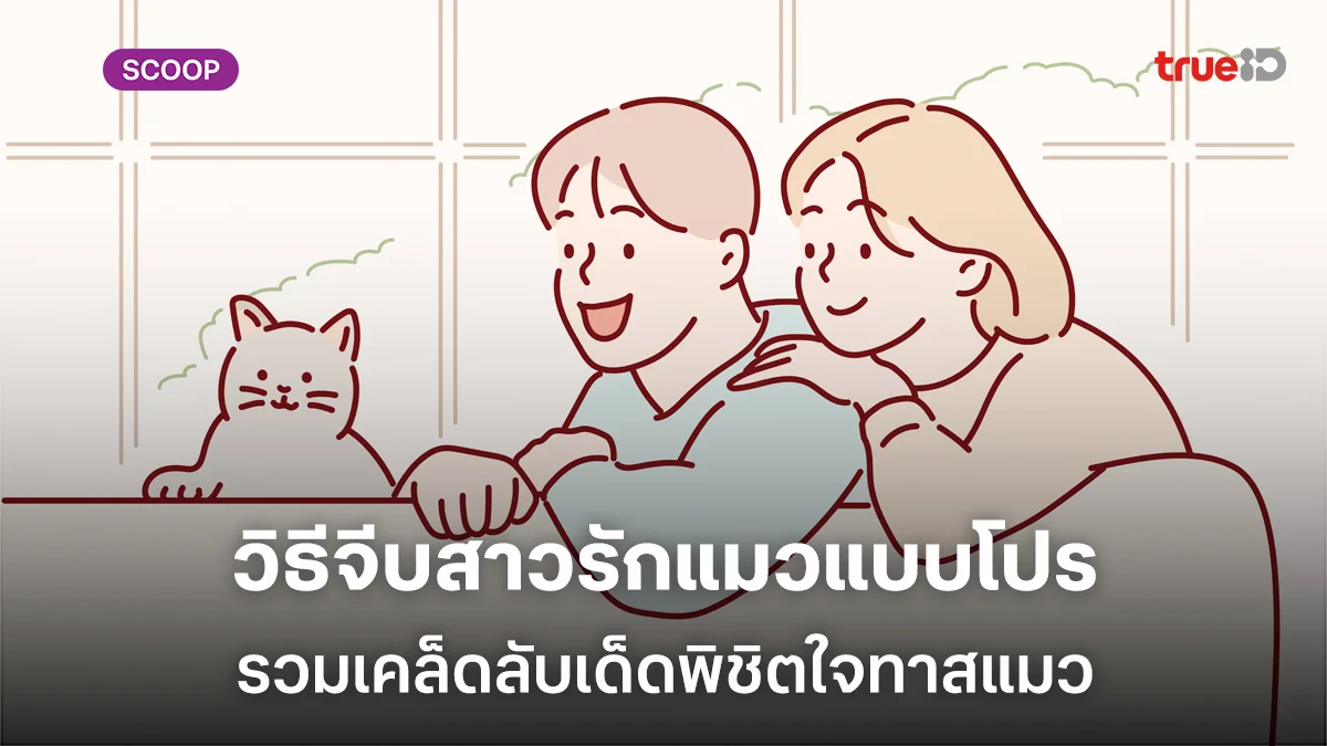 วิธีจีบสาวรักแมวแบบโปร รวมเคล็ดลับเด็ดเทคนิคพิชิตใจทาสแมวแบบเนียนๆ