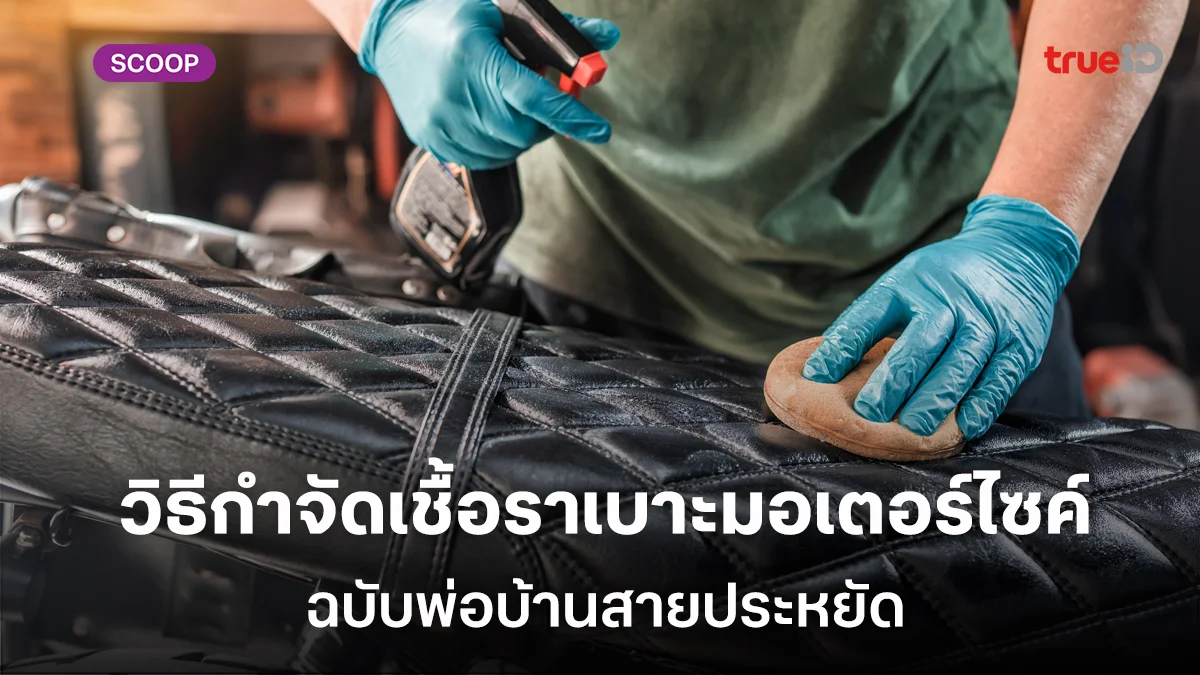 วิธีกำจัดเชื้อราบนเบาะรถมอเตอร์ไซค์ด้วยตัวเอง ฉบับพ่อบ้านสายประหยัด