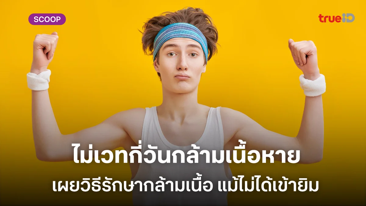 ไม่เวทกี่วันกล้ามเนื้อหาย เผยวิธีรักษากล้ามเนื้อ แม้ไม่ได้เข้ายิม ไม่เวทกี่วันกล้ามเนื้อหาย เผยวิธีรักษากล้ามเนื้อ แม้ไม่ได้เข้ายิม