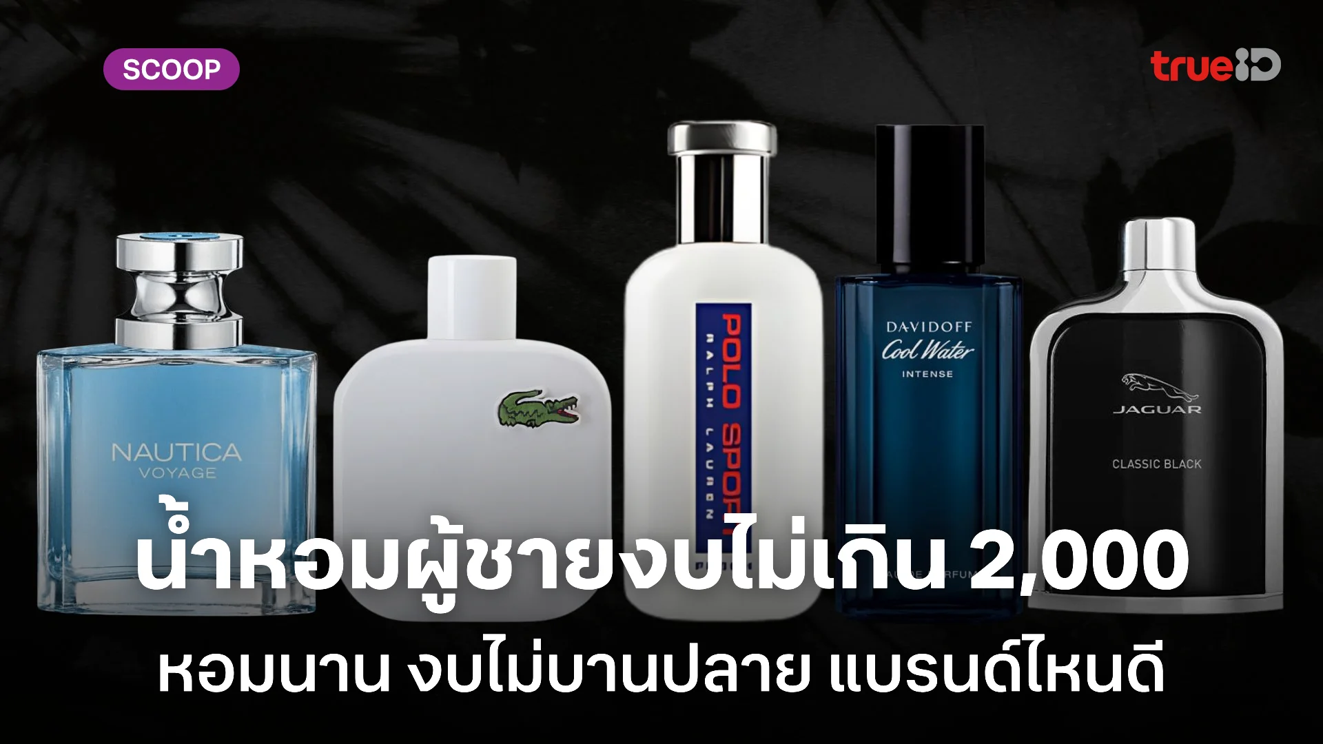 น้ำหอมผู้ชายติดทนนาน ราคาไม่เกิน 2,000 สองแบงค์เทามีทอน น้ำหอมผู้ชายติดทนนาน ราคาไม่เกิน 2,000 สองแบงค์เทามีทอน