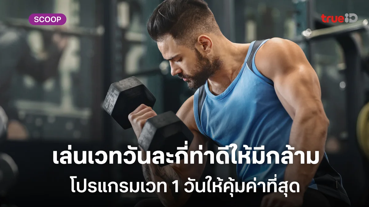 เล่นเวทวันละกี่ท่าดีให้มีกล้าม จัดโปรแกรมเวท 1 วันให้คุ้มค่าที่สุดต้องเล่นท่าไหนบ้าง เล่นเวทวันละกี่ท่าดีให้มีกล้าม จัดโปรแกรมเวท 1 วันให้คุ้มค่าที่สุดต้องเล่นท่าไหนบ้าง