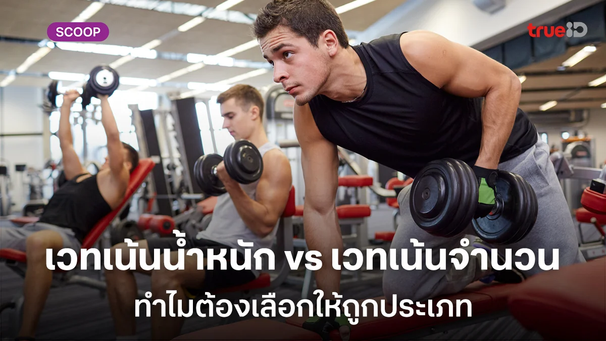 สรุปให้ครบ! เวทเน้นน้ำหนัก vs เวทเน้นจำนวน ทำไมต้องเลือกให้ถูกประเภท สรุปให้ครบ! เวทเน้นน้ำหนัก vs เวทเน้นจำนวน ทำไมต้องเลือกให้ถูกประเภท