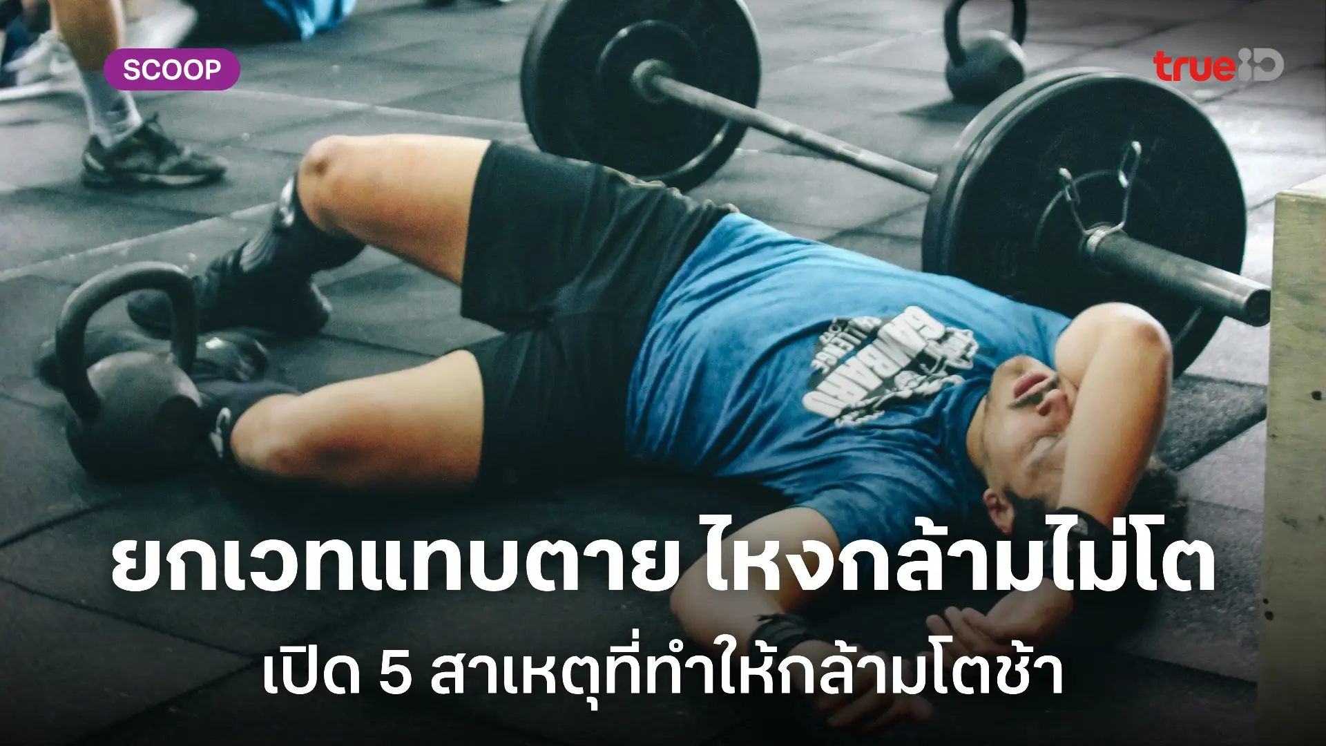 5 สาเหตุที่ทำให้ กล้ามไม่โต ยกเวทหนักแต่ไม่เห็นผล 5 สาเหตุที่ทำให้ กล้ามไม่โต ยกเวทหนักแต่ไม่เห็นผล